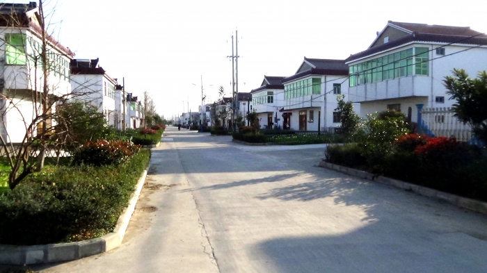 8泛水镇新民村道路干净和整齐的规划小区.JPG