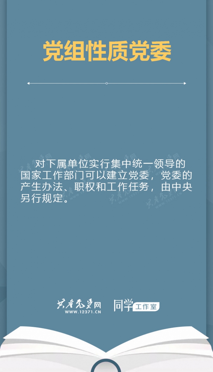 党组性质党委